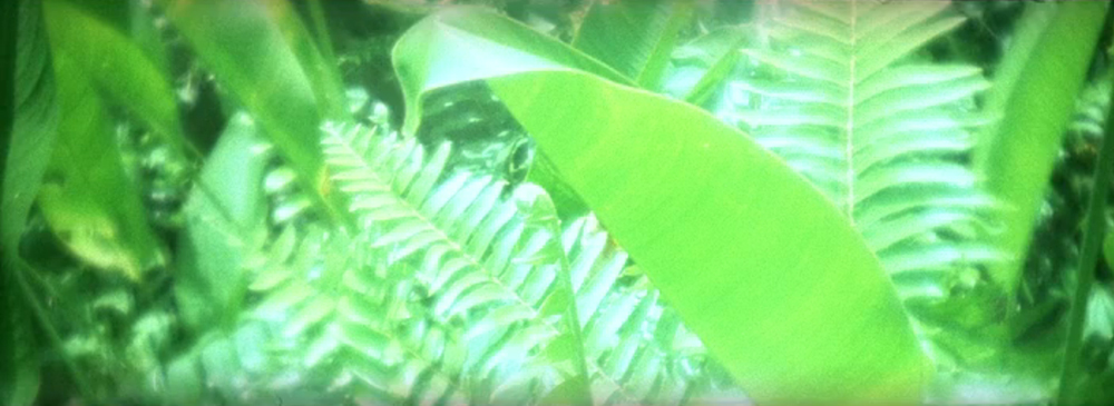 A still from Ashes (2012) a film by Apichatpong Weerasethakul. Colour, 35mm, 20mins.