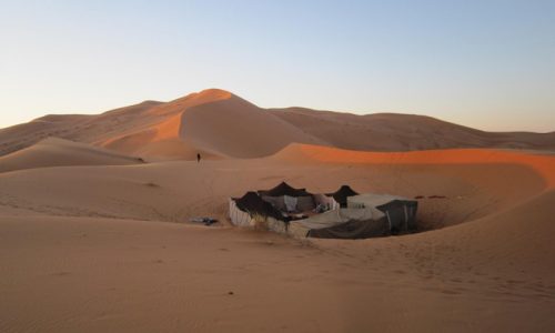 Dreams Of The Sahara: Road Junky’s Oasis