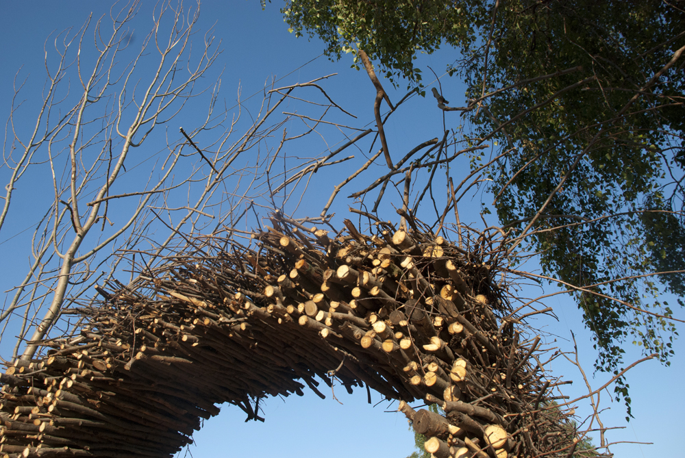 Surreal installation of branches and twigs near the main stage - created by Jayhney and Girls.