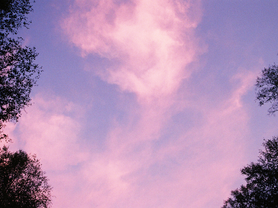 Summer skies in the forests of northern Portugal. Photo by Sophie Pinchetti.