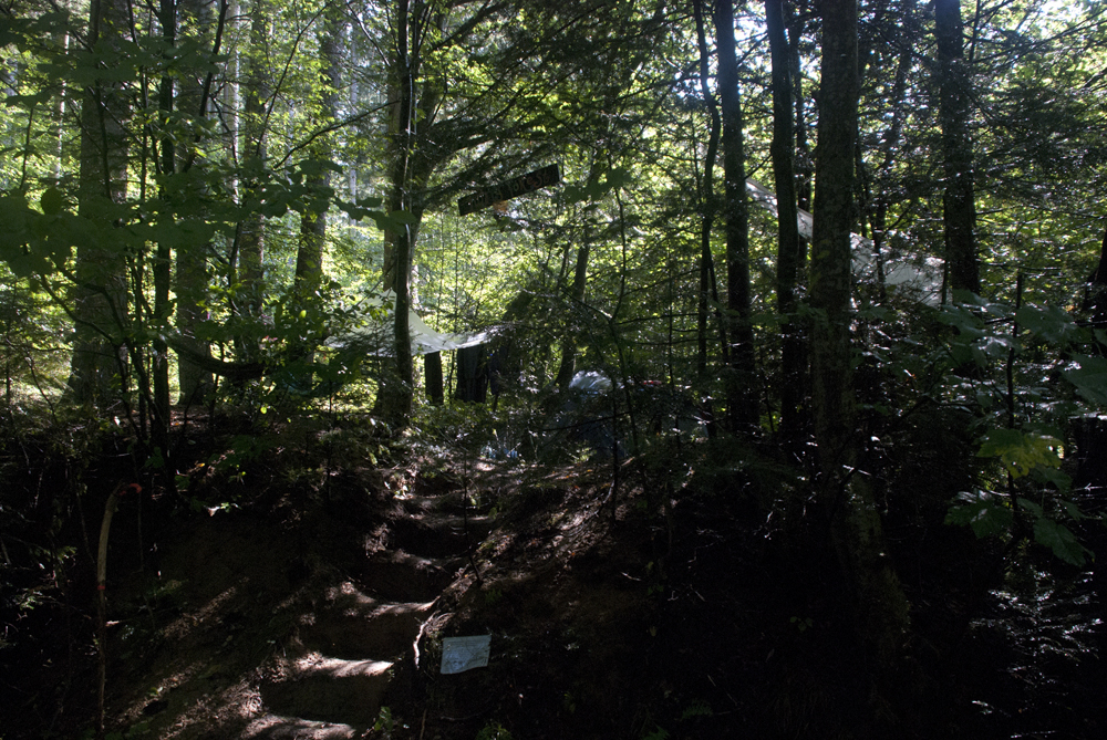 Stairs leading to the Funny Forest area...