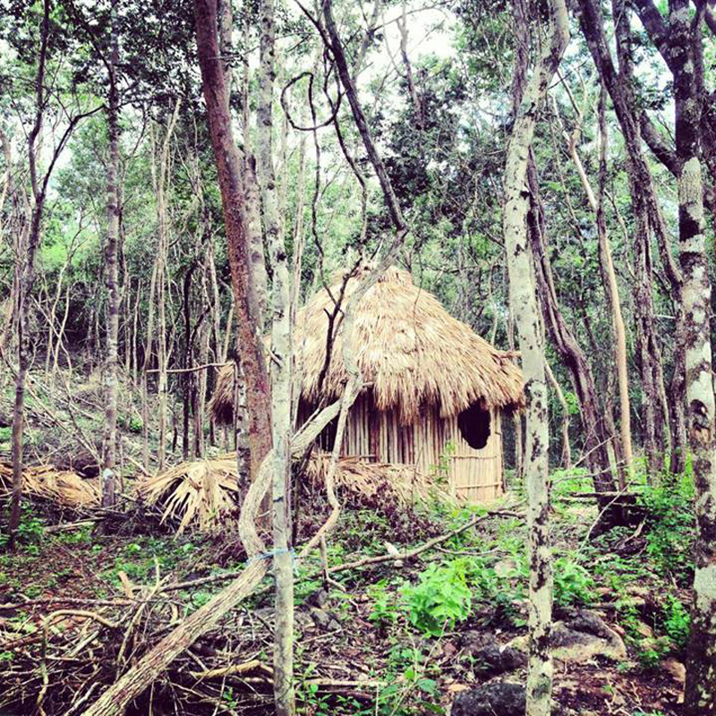 Next is to clean up the building debris from the surrounding palapa and start building walk pathways