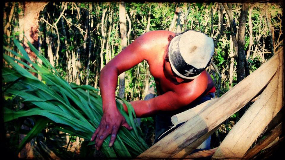 Cura preparing the Guano palms and applying them into the bathroom Zone.