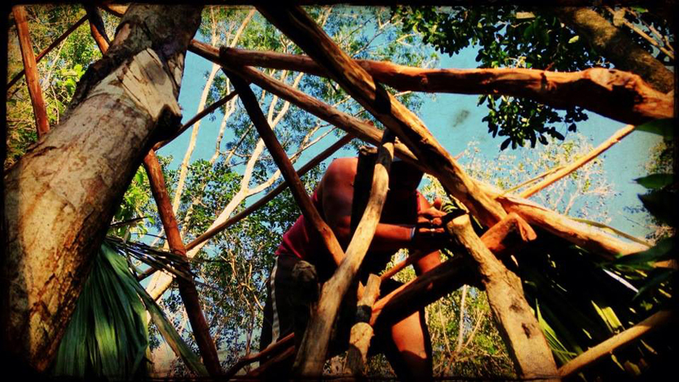 Building the Guano Palm Roof.