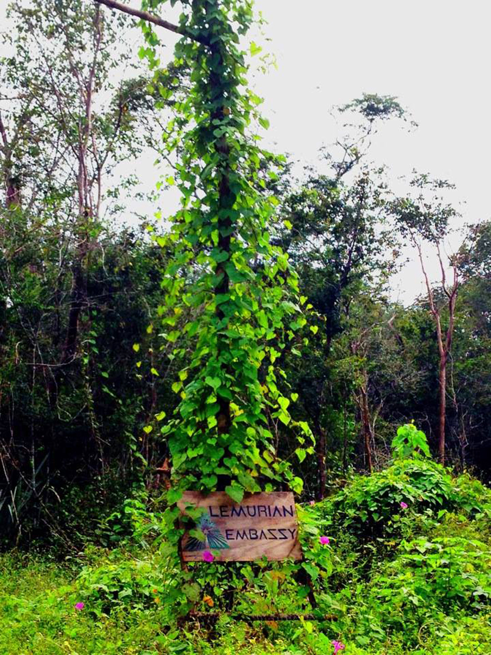 This is how the Lemurian Embassy Sign looks like as of right now December 2013! The sign was designed by Mio Shigemura; placed by Luis Nasto Castro but with heavy rain it fell and so I placed it down by a tree. Nature made a beautiful collage with beautiful flowers!