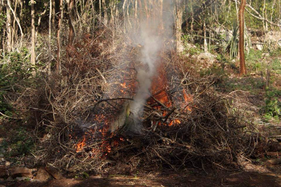 When the project started in July, it was the rainy season. Now the dry season has come and all the debris of clearing will be burnt. We are using the leaves as compost. The hard wooden timber is used for cooking. The rest goes to the fire pit.