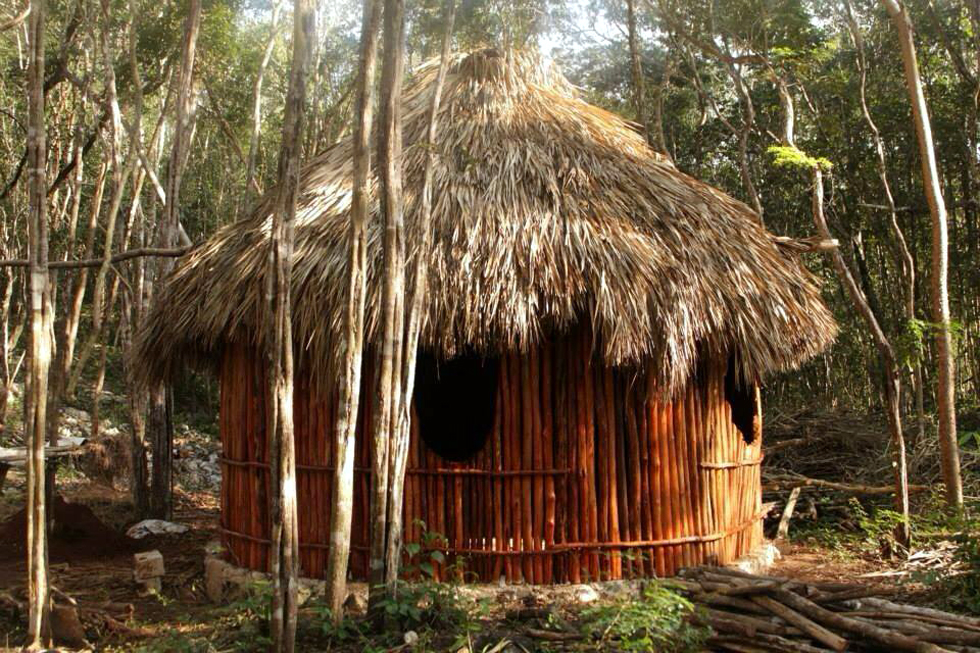 Lemurian Embassy palapa on zone 02, Local Timber, combined with cob and palm roof.