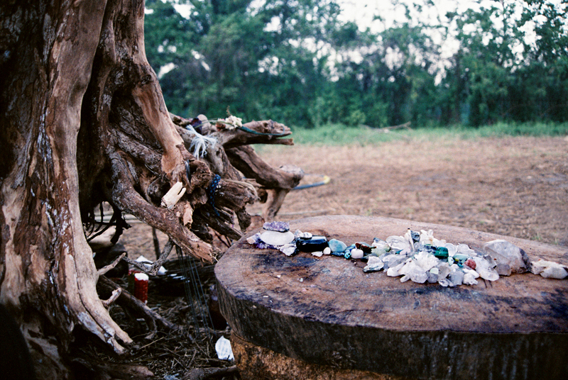 Crystals at the altar of the main circle at the Rainbow Gathering in Palenque.