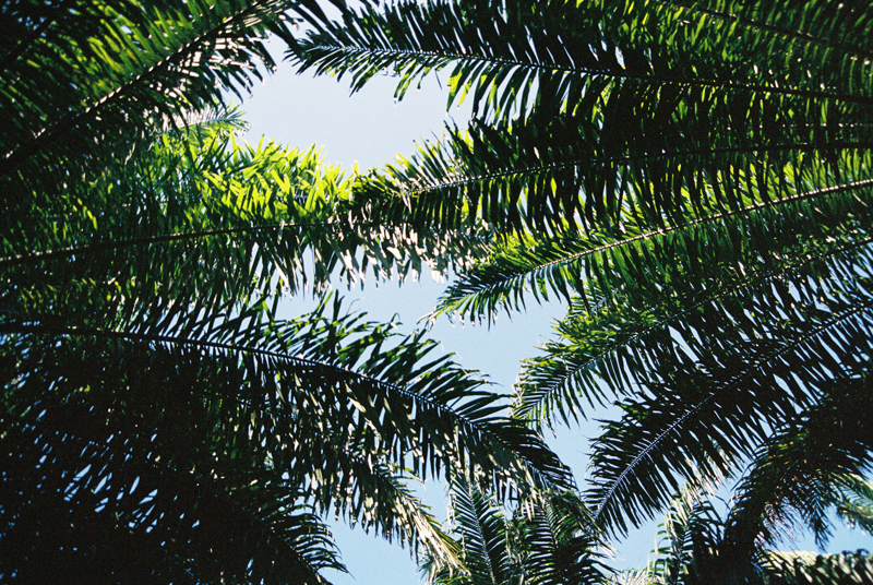 Our view waking up to the jungle.