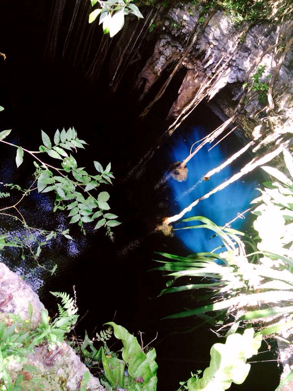 The magical cenotes on Lemurian land.