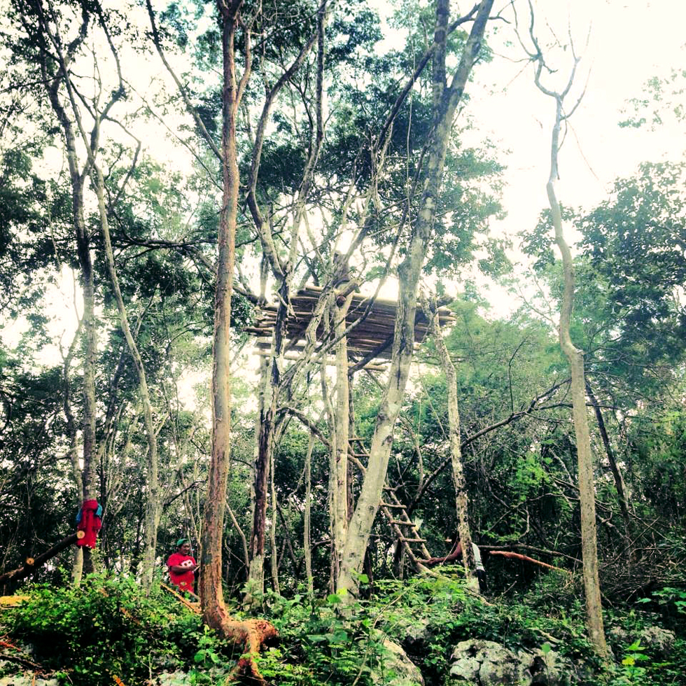 New Lemurian Embassy tree house / watch tower platforms with an incredible view of the jungle.