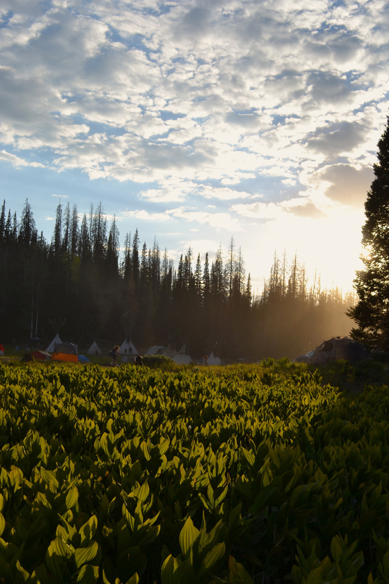 Sunrise at the Rainbow in the Uinta National Forest. Photo Flower.