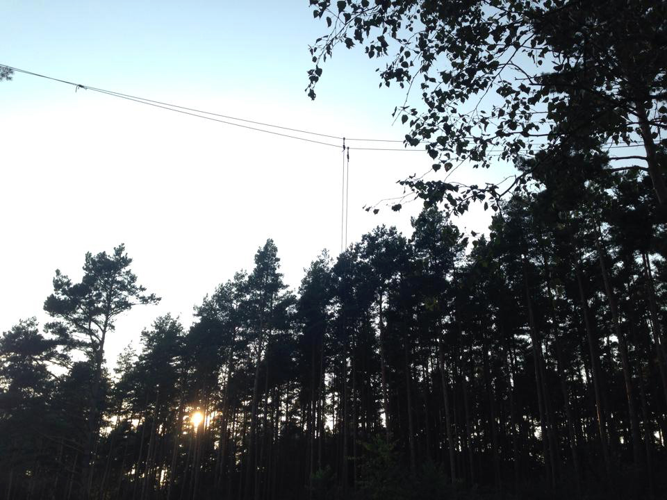 Sunset in the forests near Wittstock/Dosse in north-western Germany. Photo Andrea.