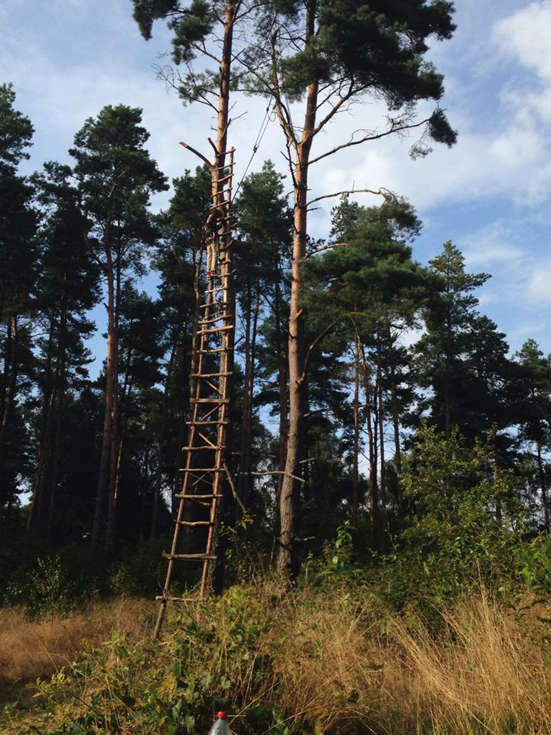 The ladder, for suspensions off the tree. Photo Andrea.