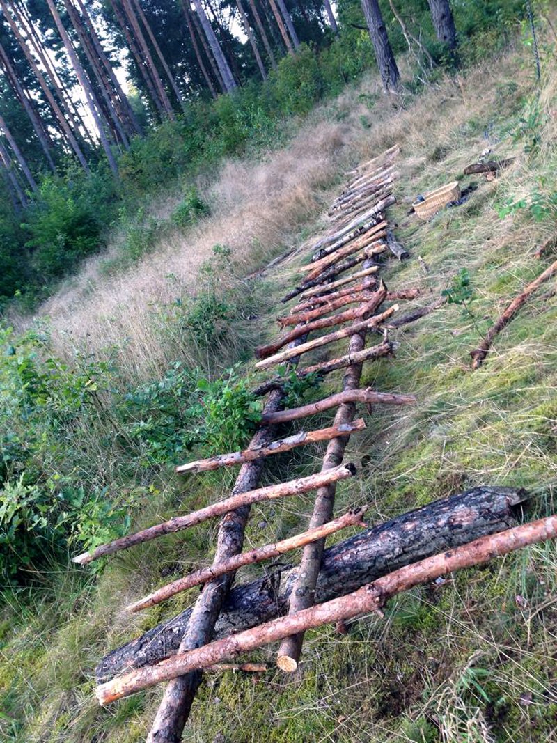 Ladder for a suspension off a tree. Photo Andrea.