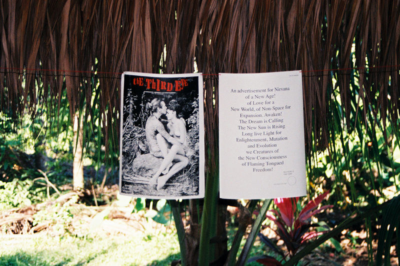 Art in the Jungle: A view on the exhibition of The Third Eye's first issue.