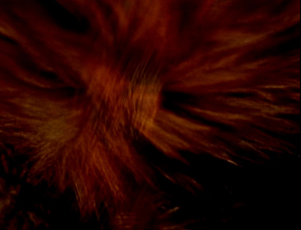 A still from Dog Star Man (1961-64) Directed by Stan Brakhage. Colour • Silent • 16mm • 74 mins.