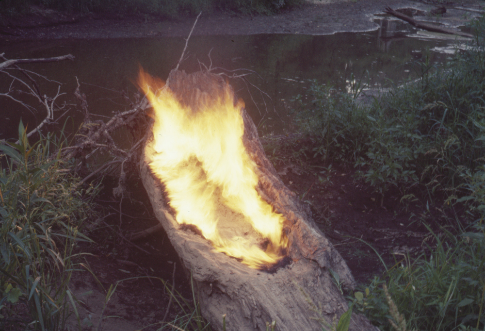 Silueta Series (1977) by Ana Mendieta. Colour Photograph, lifetime print.