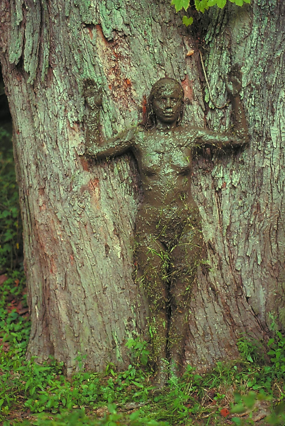 Arbol de la Vida (Tree of Life) (1976) by Ana Mendieta. Colour photograph, lifetime print, 50.8 x 33.7 cm