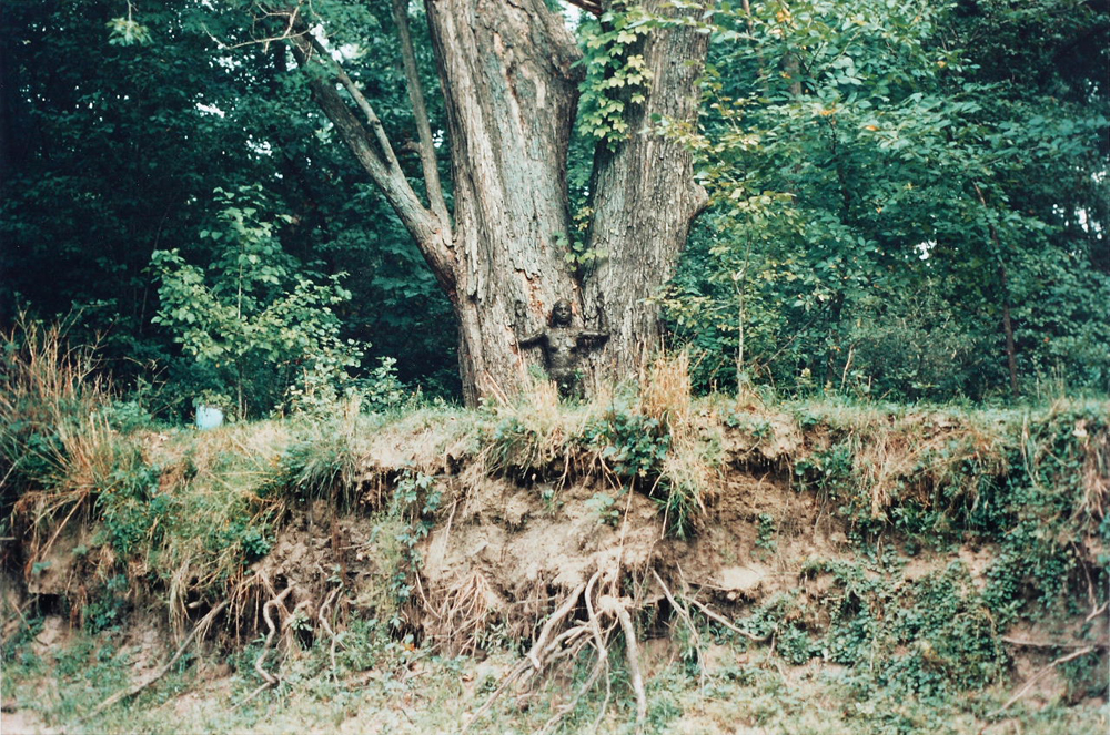 Arbol de la Vida (Tree of Life) (1976–9) by Ana Mendieta. Photographed at Old Man's Creek, Iowa City, Iowa. Colour Photograph