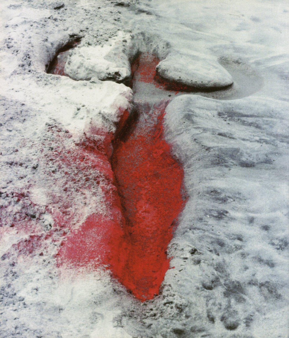 Earth work 2. Untitled (Silueta Series, Mexico), 1976 by Ana Mendieta. Photographed in Mexico.