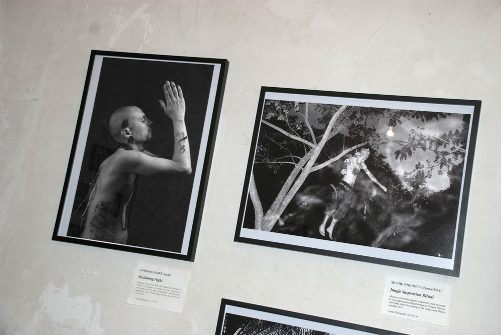 Meditating Flight (2007) by Antonio Florez alongside Jungle Suspension Ritual (2012) by Sophie Pinchetti.