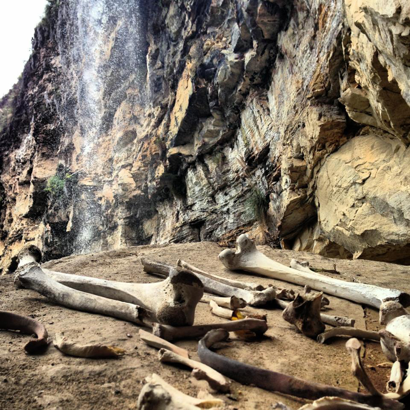 INTENSE view on remains of Chachapoya warriors.