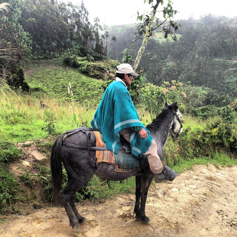 Travel companion through the jungle.