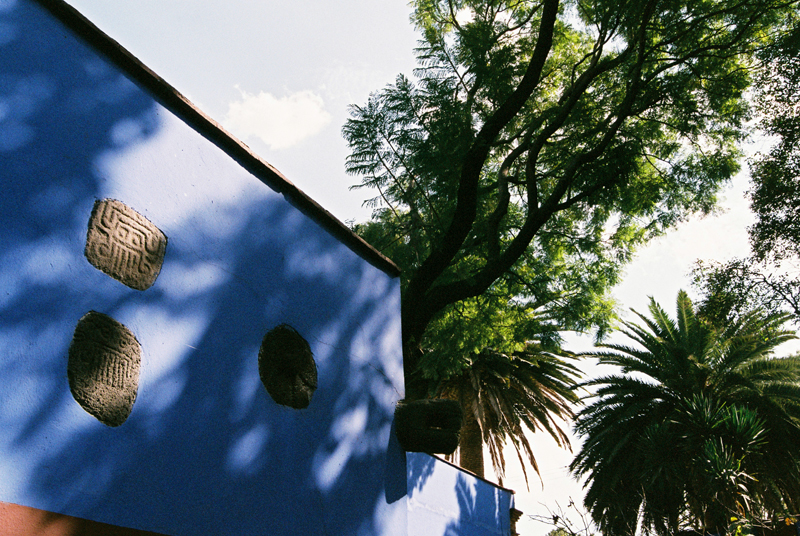 The grounds surrounding the Casa Azul.