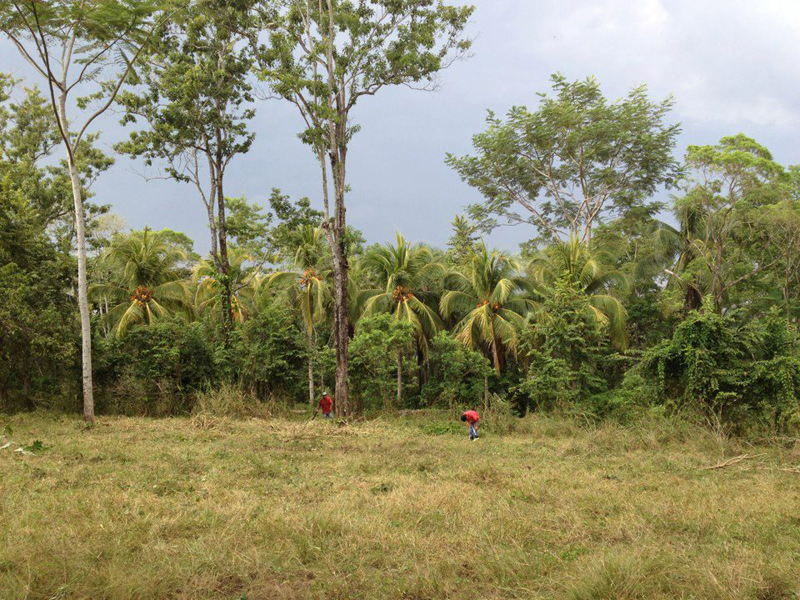 Jungle times - the camping area for the festival.