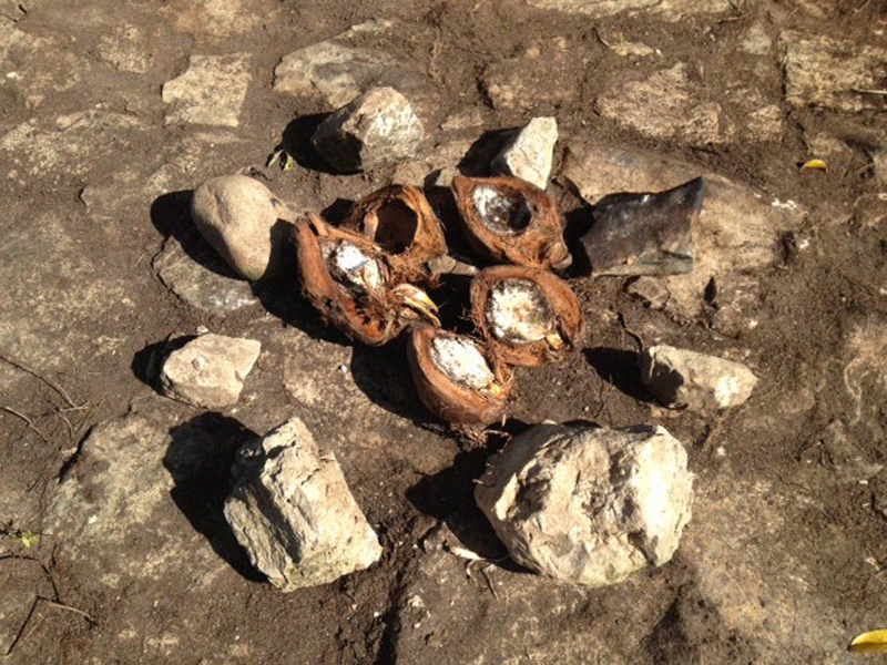 Getting the fire ready at Nahual-Can - The Land Of The Future - in Chiapas, Palenque, Mexico.