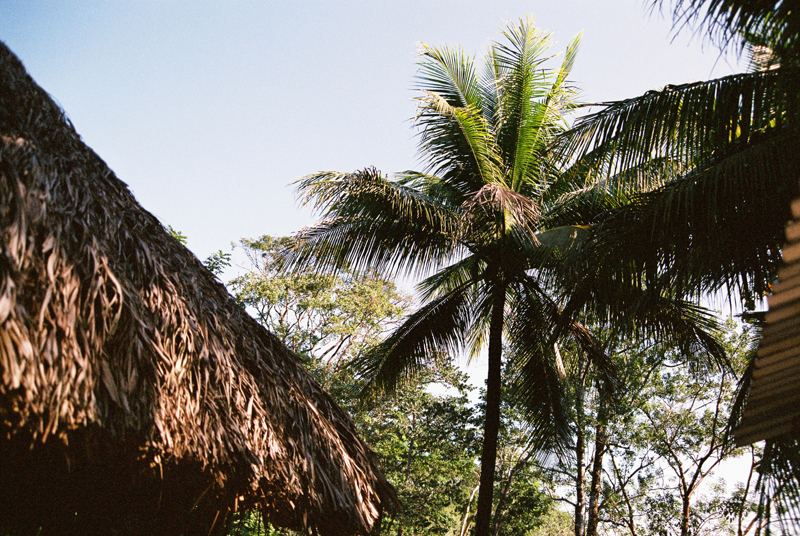 The Palapa hosting the exhibition in the jungle. Photo by Sophie Pinchetti.