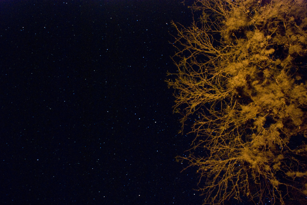 Looking up into the infinite... The endless midnight desert skies in northern Mexico. Unforgettable.