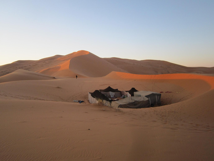 The Road Junky canopy in the dunes of the Sahara. Photo by Tom Thumb.