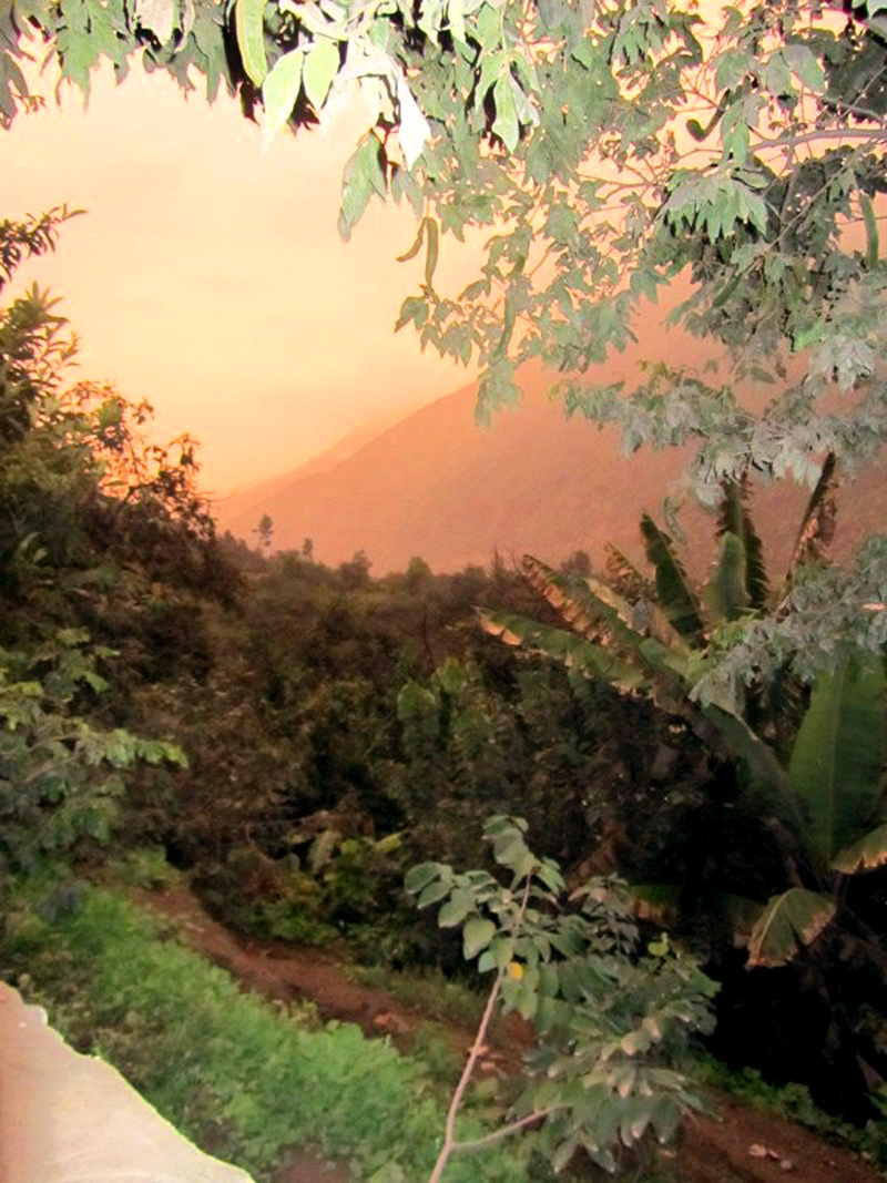 Beautiful sunset over the Andean jungle, Peru.