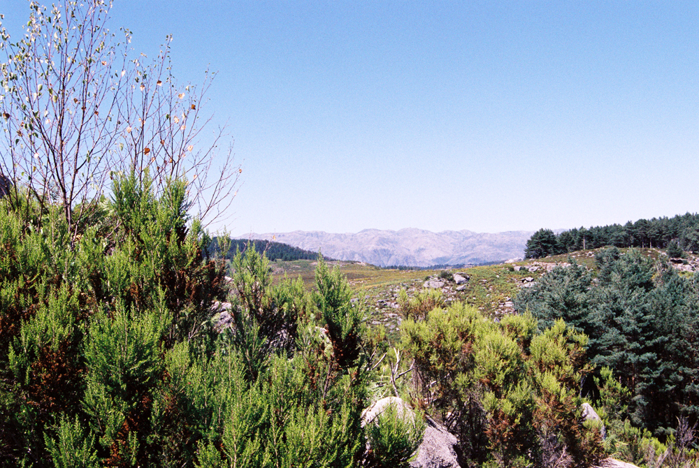 The forests and mountains near Salto.