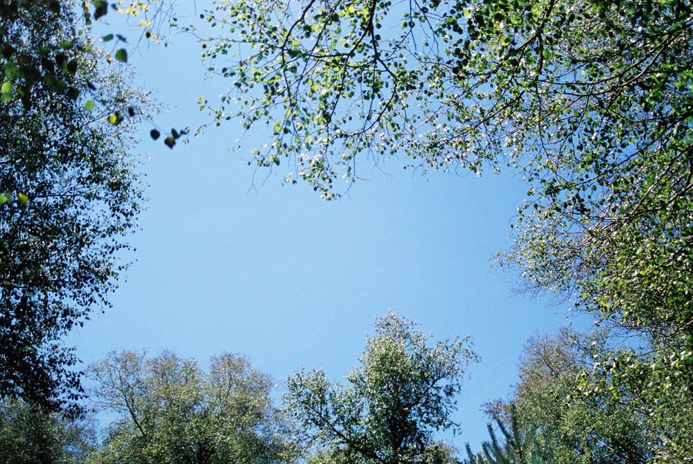 Crystal blue skies with the day rising.