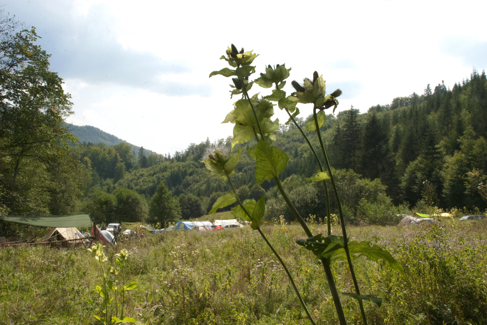 View from the tent...Waking up in the morning to the mountains of Transylvania.