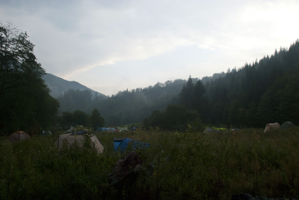 Early morning mist in the forest.