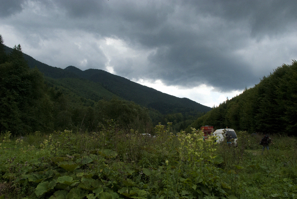 A dark and intense storm gathering over the forest... Beautiful Draculian weather! Lightning, thunder...