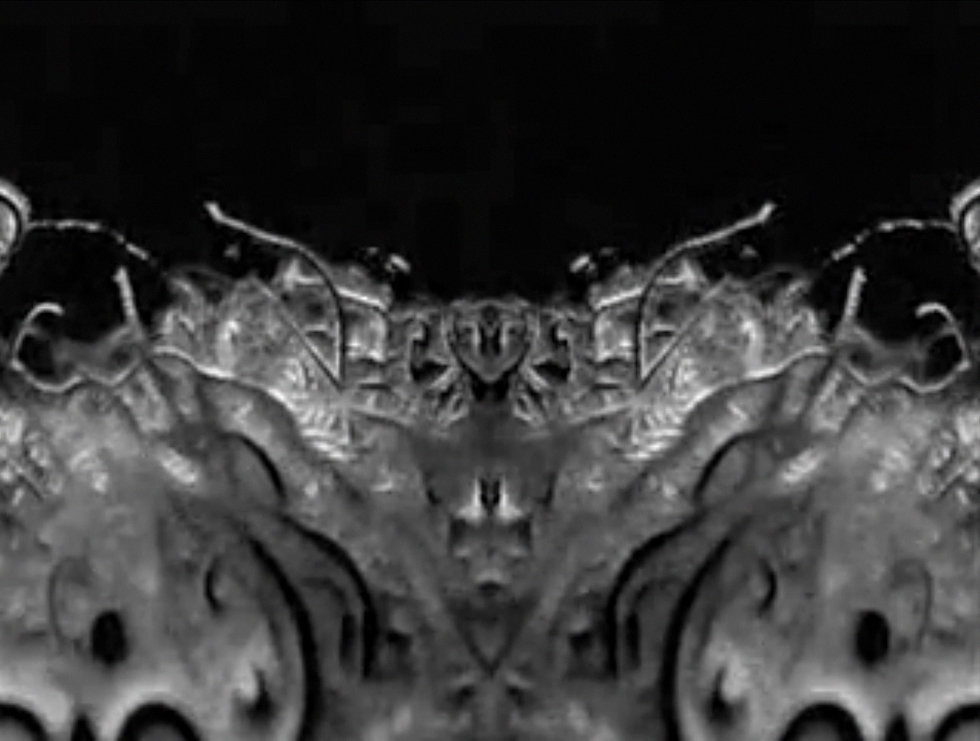 A still from Din of Celestial Birds (2006) A film by E. Elias Merhige. Black and white, sound, 16mm, 14 mins.