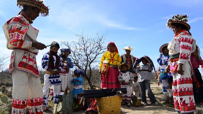 The Third Eye Magazine_Film_Huichols The Last Peyote Guardians Mexico-a film by Hernan Vilchez-24