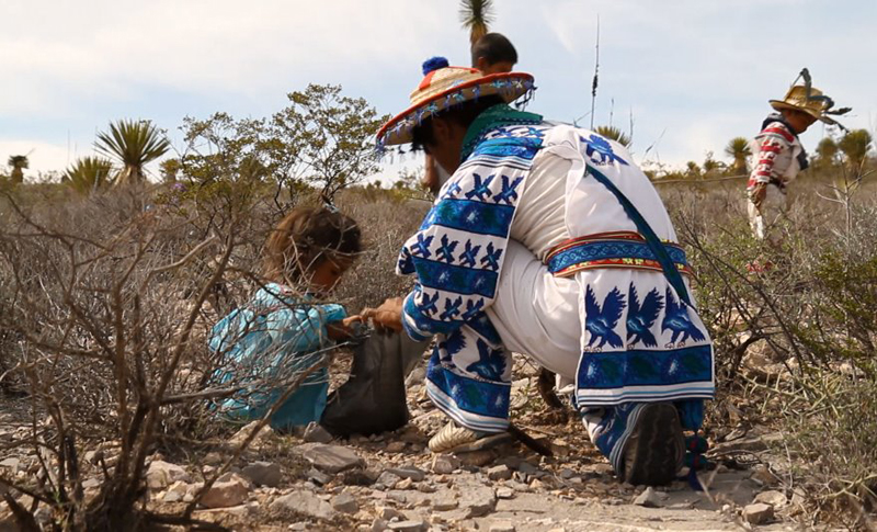 The Third Eye Magazine_Film_Huichols The Last Peyote Guardians Mexico-a film by Hernan Vilchez-253