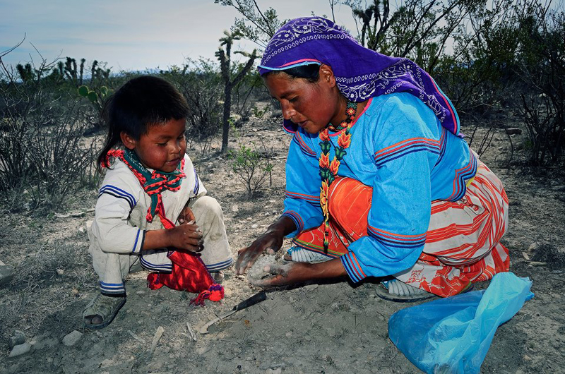 The Third Eye Magazine_Film_Huichols The Last Peyote Guardians Mexico-a film by Hernan Vilchez-34