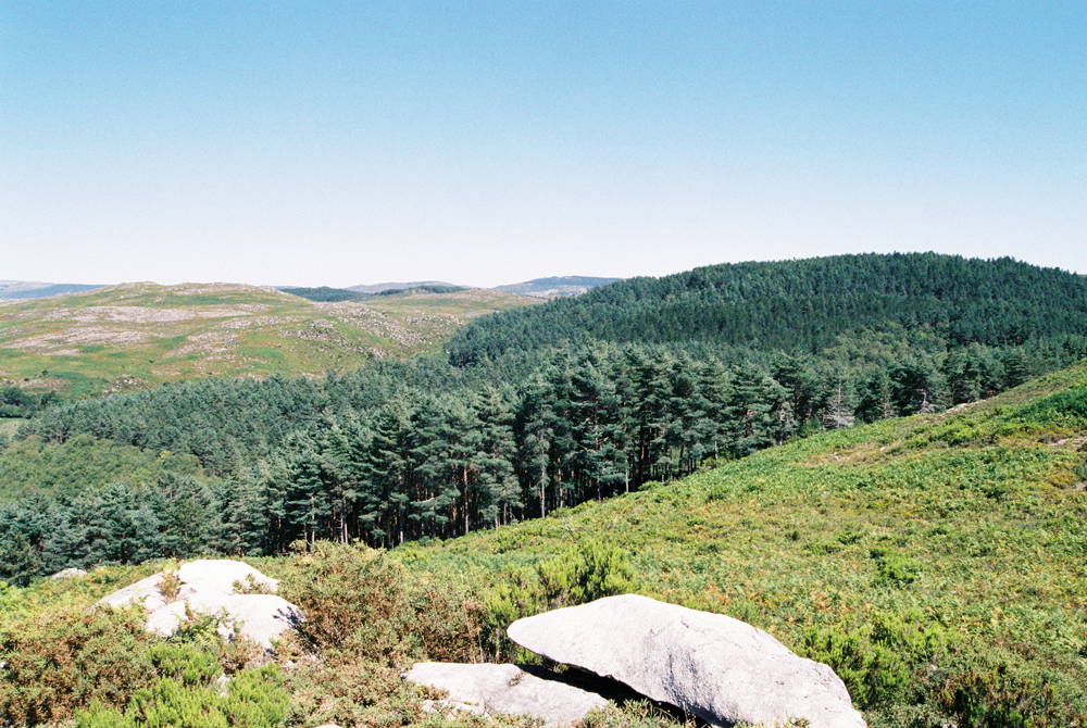 The forests surrounding Salto in Portugal.