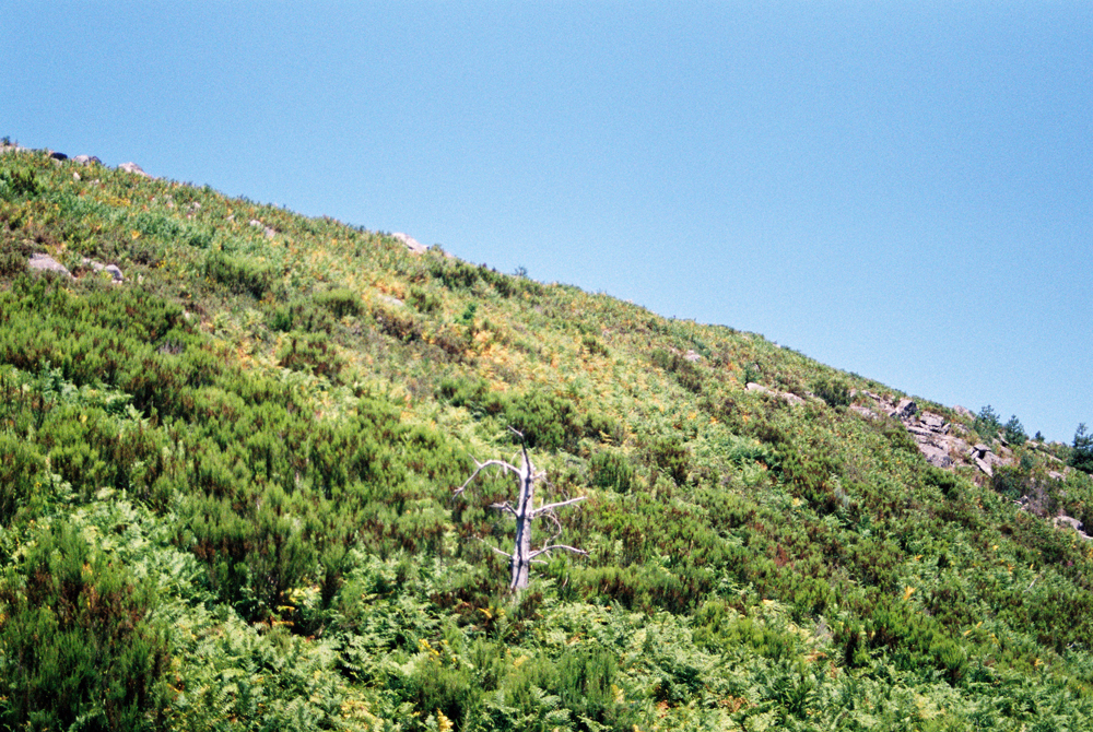 Surreal landscapes near the main circle.