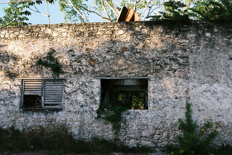 Nature reclaiming its space on an abandoned house in Bacalar.