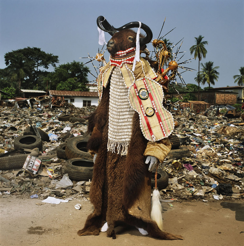 Water Buffalo Devil, Red Indians, Freetown, Sierra Leone, 2008. 