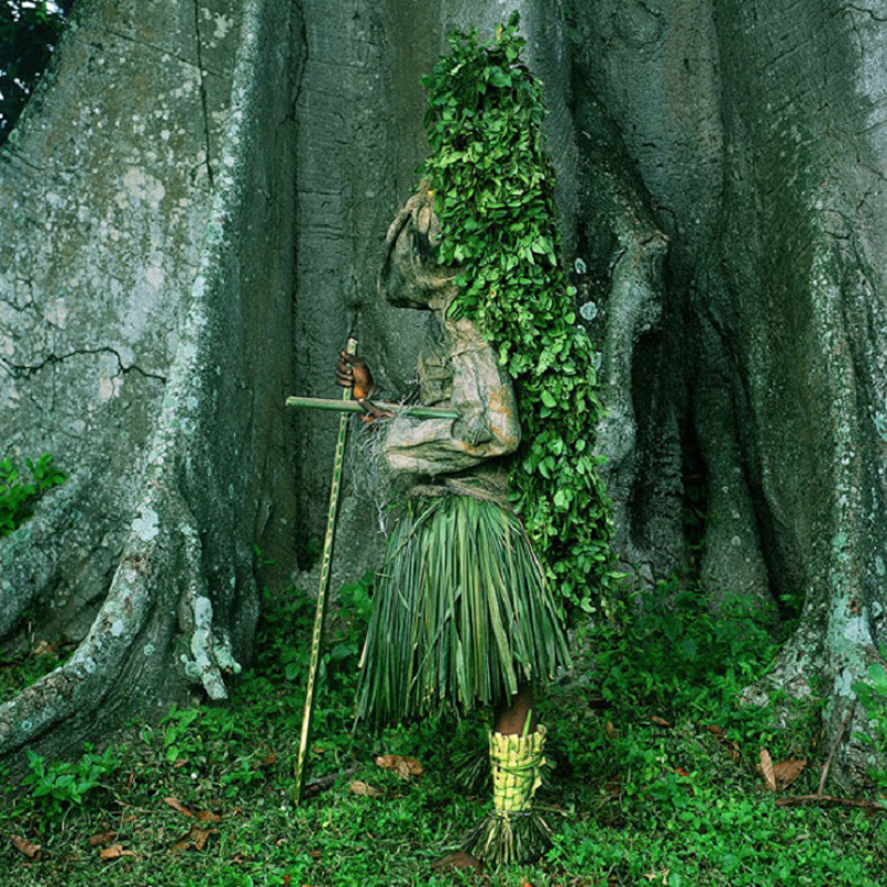 Atam Masquerader, Alok Village, Nigeria, 2004. 