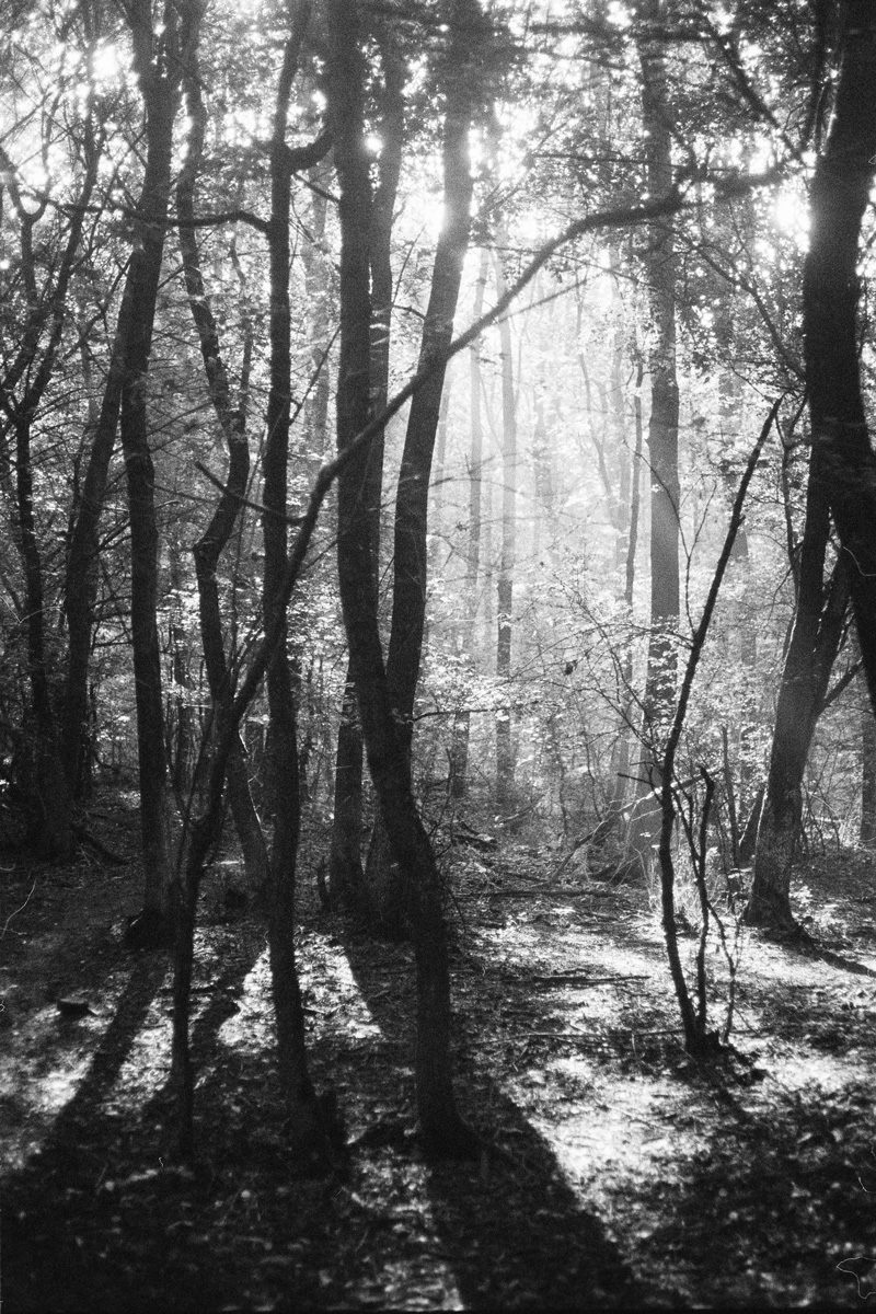 The Third Eye magazine_Rainbow Gathering Hungary 2014_Janine Baechle_08